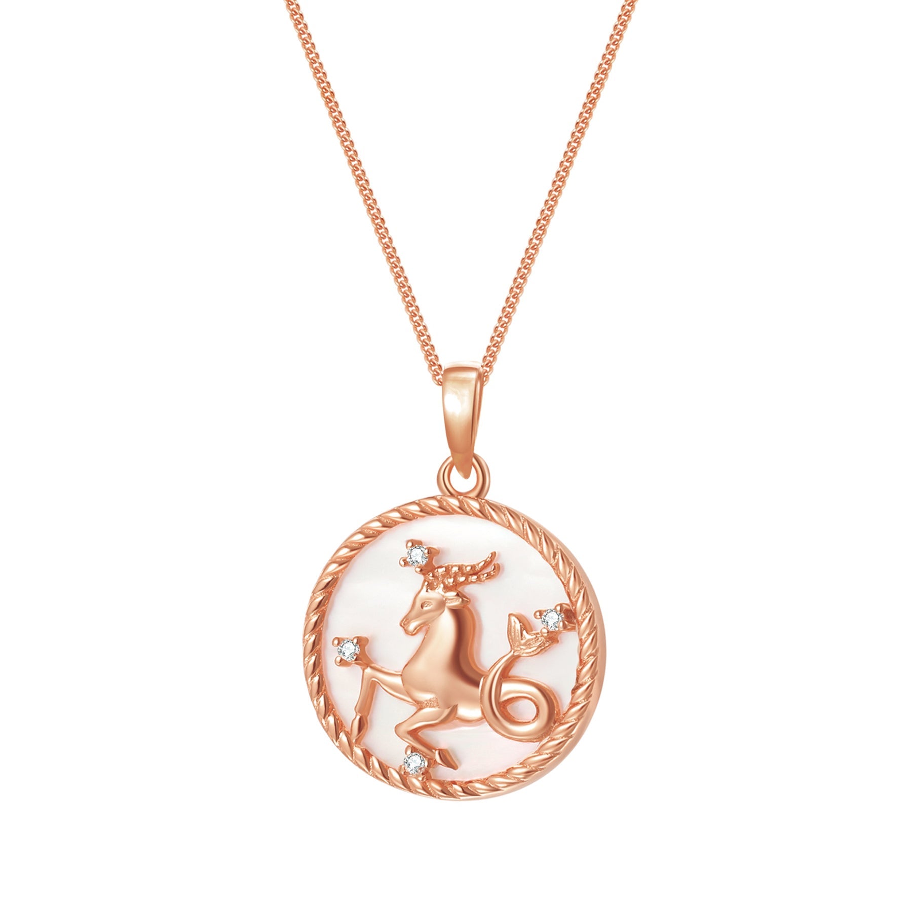 Capricorn Zodiac Pendant Necklace