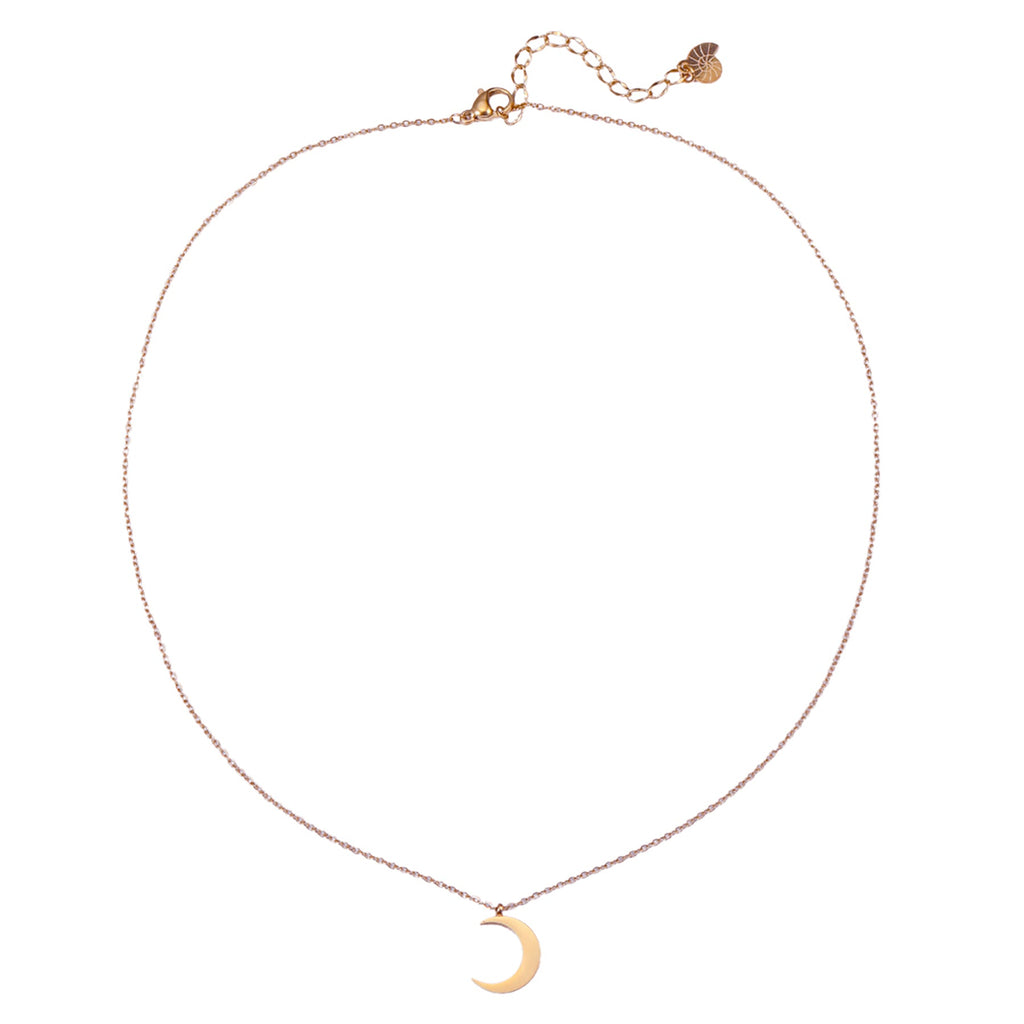 Half Moon Delicate Necklace Rose Gold